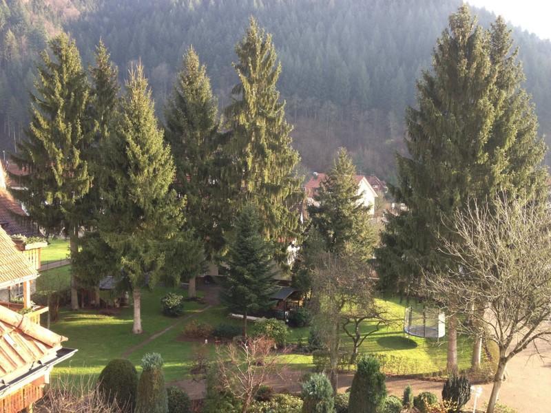 Hotel Garni Cafe Schacher Oberwolfach Exteriér fotografie